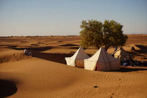 BIVOUAC SAUVAGE DESERT MAROC