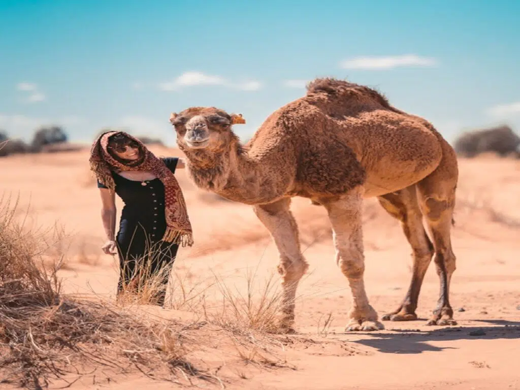 EXCURSION 2 JOURS AU DESERT DE ZAGORA