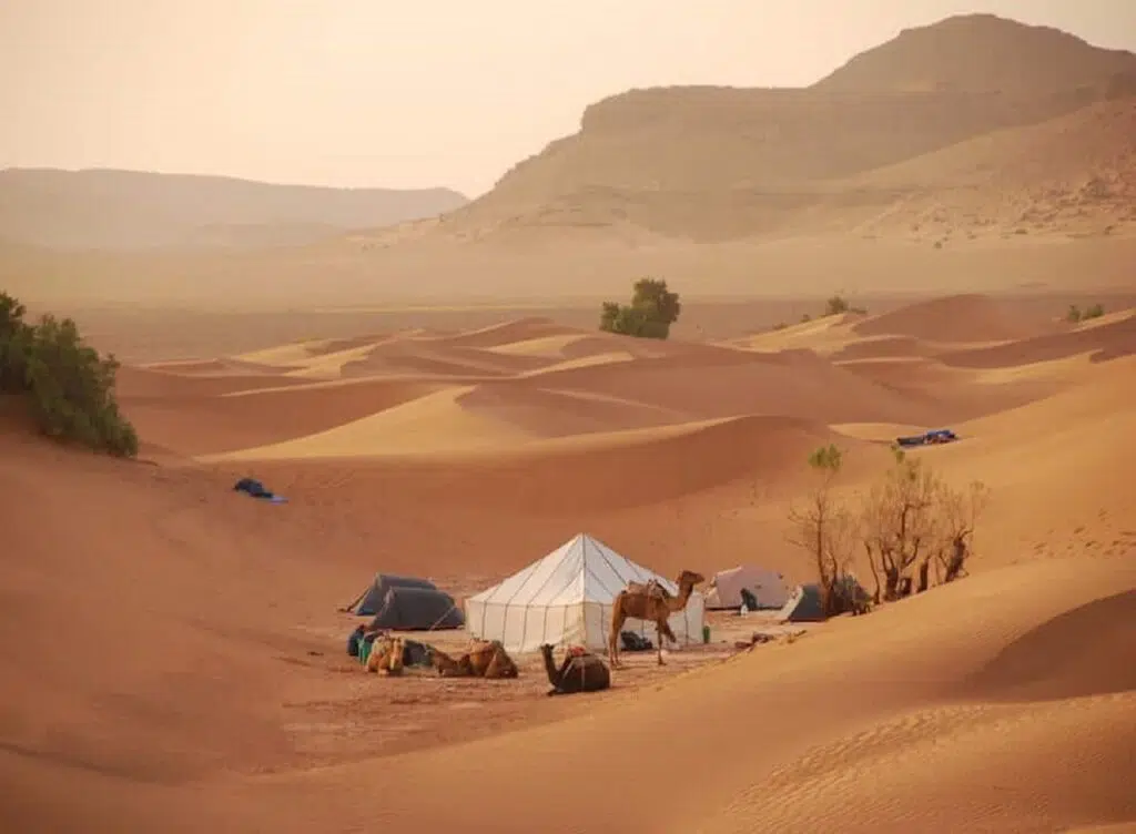 EXCURSION MERZOUGA DEPUIS OUARZAZATE